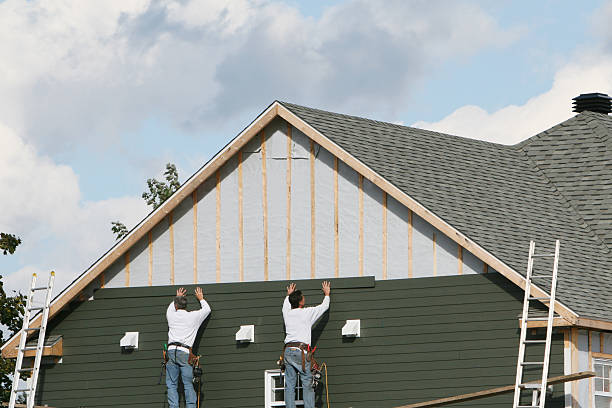 Professional Siding Repair technician working in Winnsboro, TX